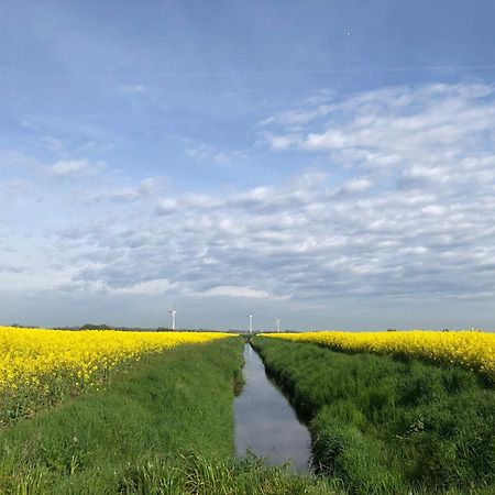 Tief 12 Meeresbrise Mit Internet 52 Schillig Exteriér fotografie